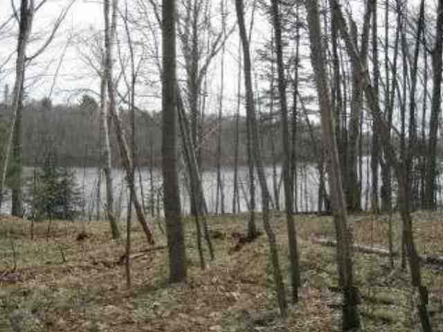 Lot 8 Bambiland Road Mercer, WI 54547 - Photo 1 of 6 Gallery Image 1