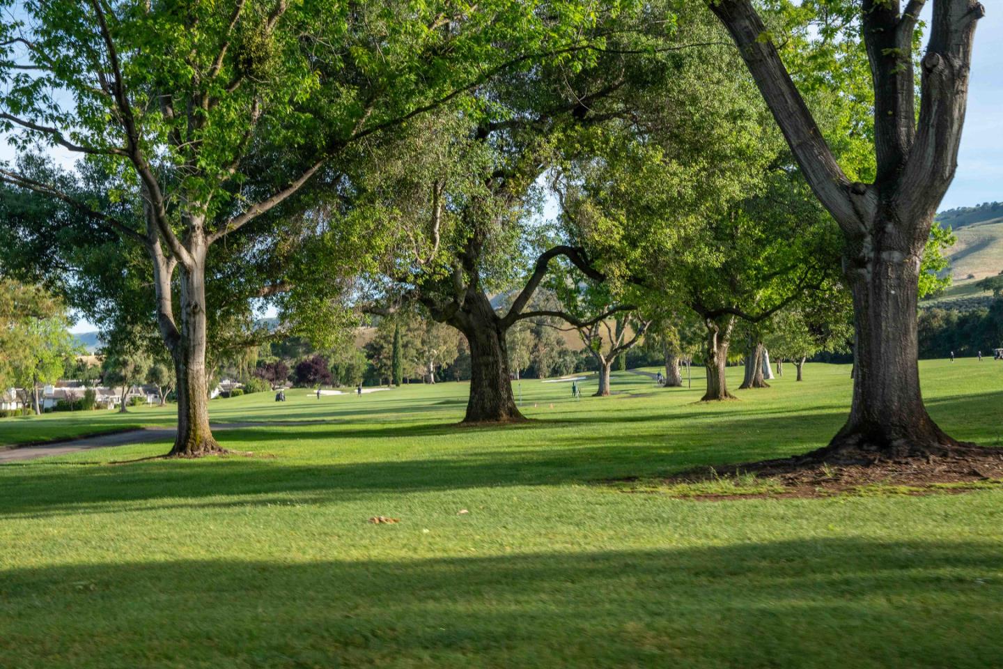 8750 McCarty Ranch Drive San Jose, CA 95135 - Photo 42 of 59 a grassy field with a trees in the background