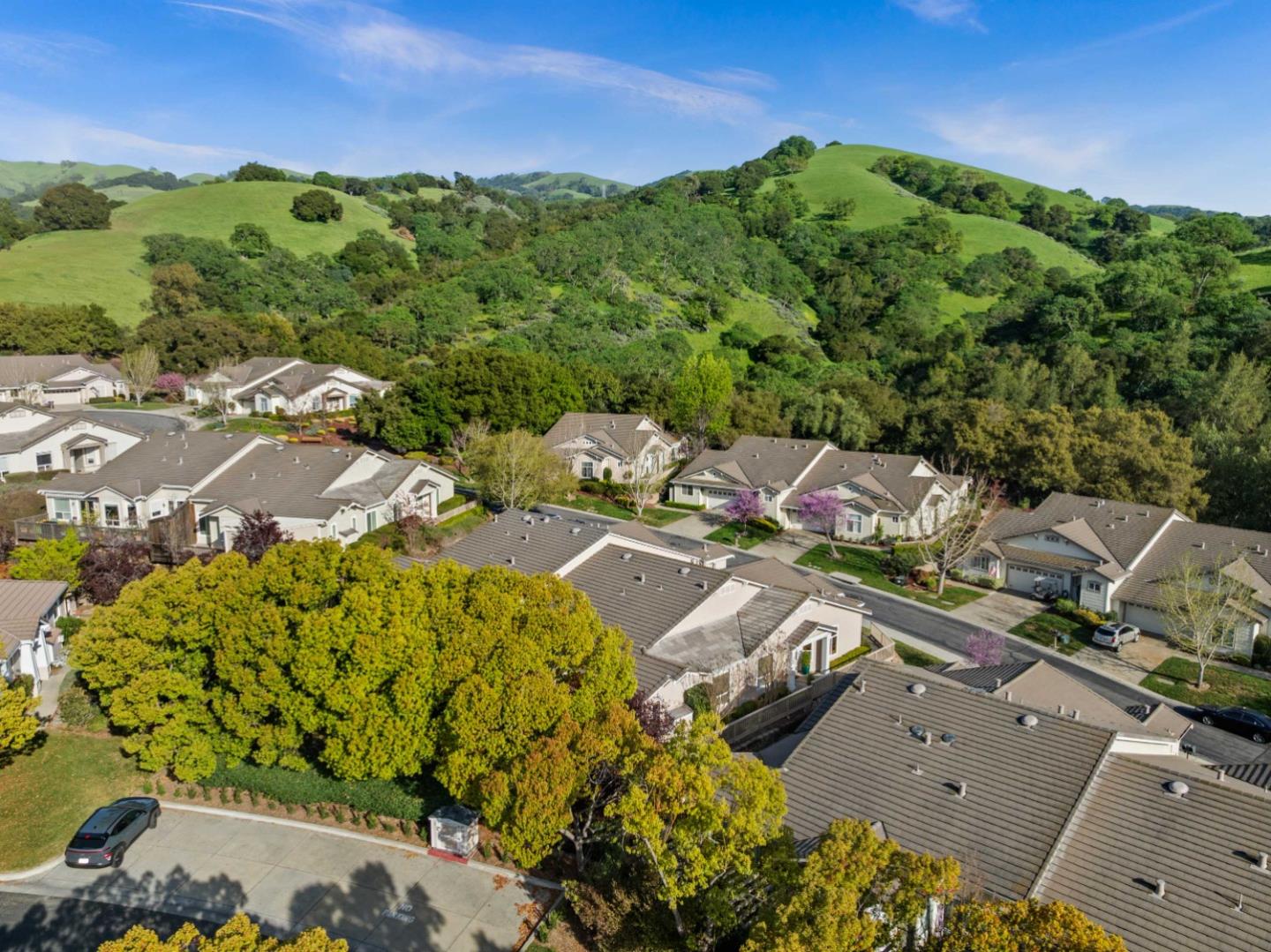 8750 McCarty Ranch Drive San Jose, CA 95135 - Photo 5 of 59 an aerial view of residential houses with outdoor space