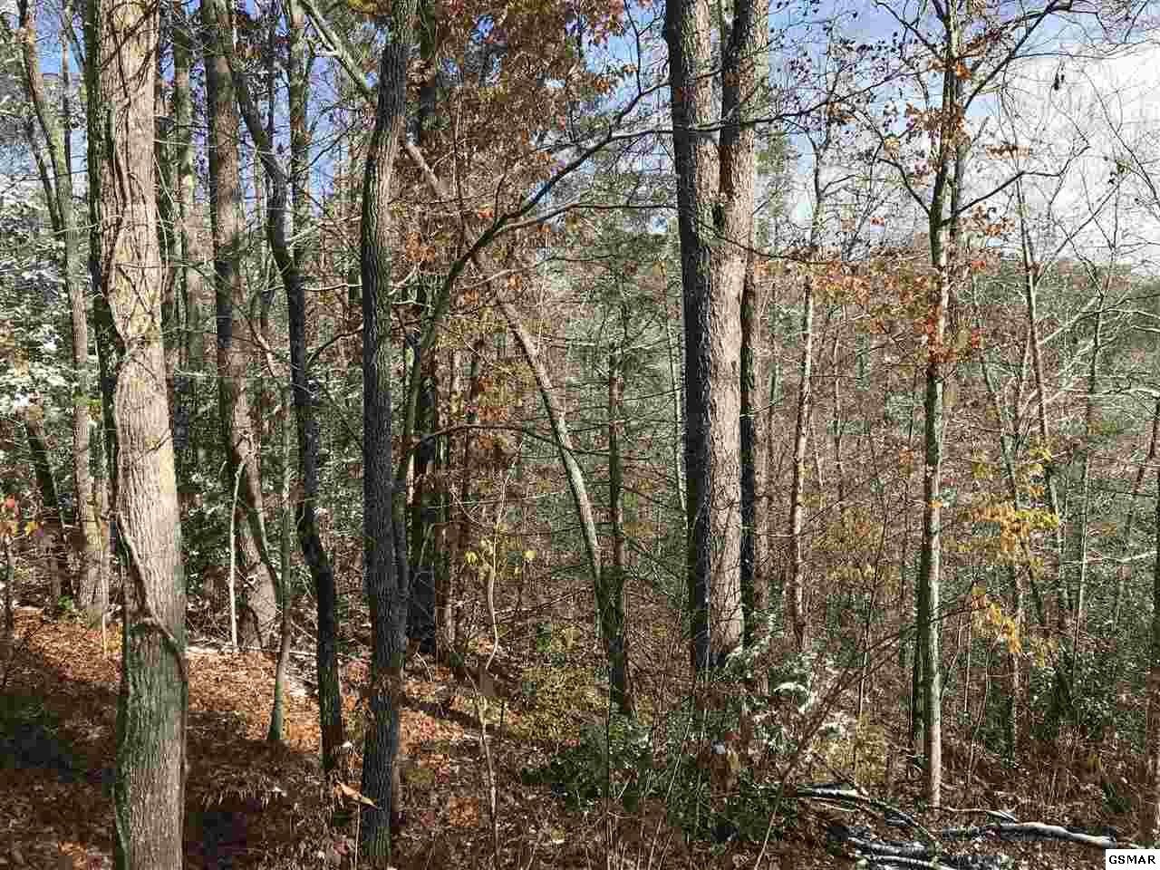 0 Hollow Road Cosby, TN 37722 - Photo 3 of 9 Gallery Image 3