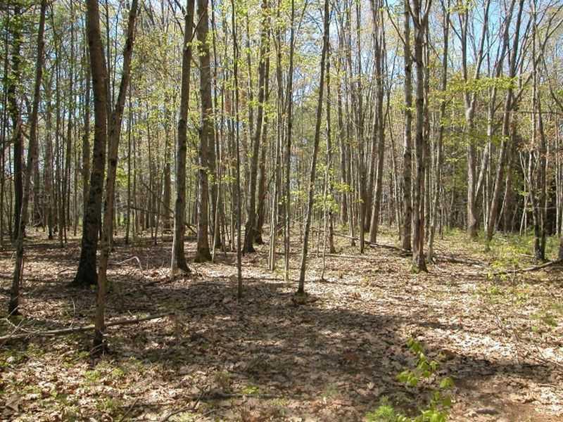 5 Barrell's Grove Road York, ME 03909 - Photo 12 of 20 Land/Lot.