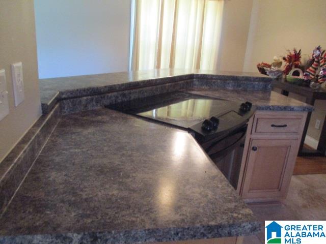48659 Highway 231 Oneonta, AL 35121 - Photo 6 of 38