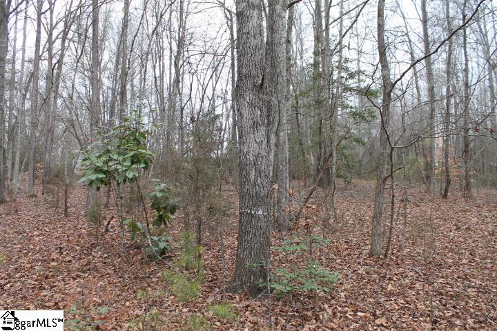 232 Berry Road Pelzer, SC 29669 - Photo 11 of 28