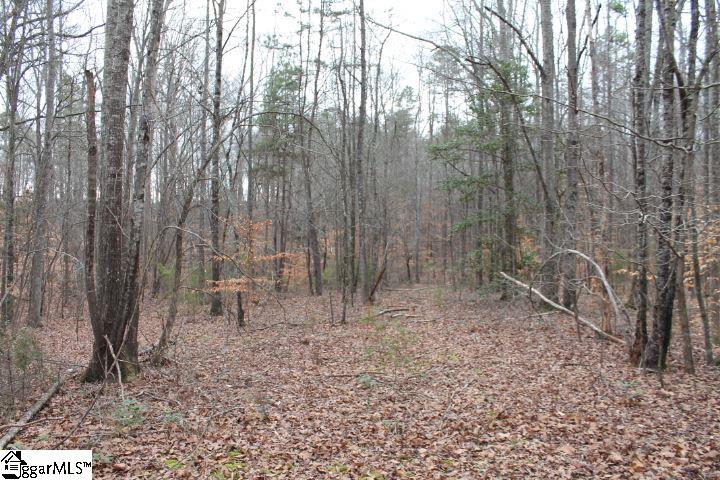 232 Berry Road Pelzer, SC 29669 - Photo 8 of 28