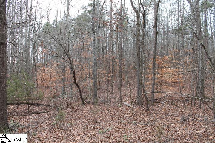 232 Berry Road Pelzer, SC 29669 - Photo 9 of 28