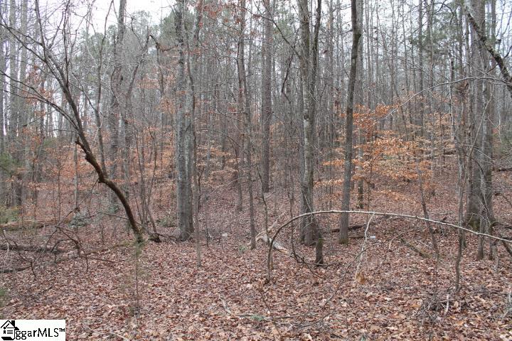 232 Berry Road Pelzer, SC 29669 - Photo 10 of 28