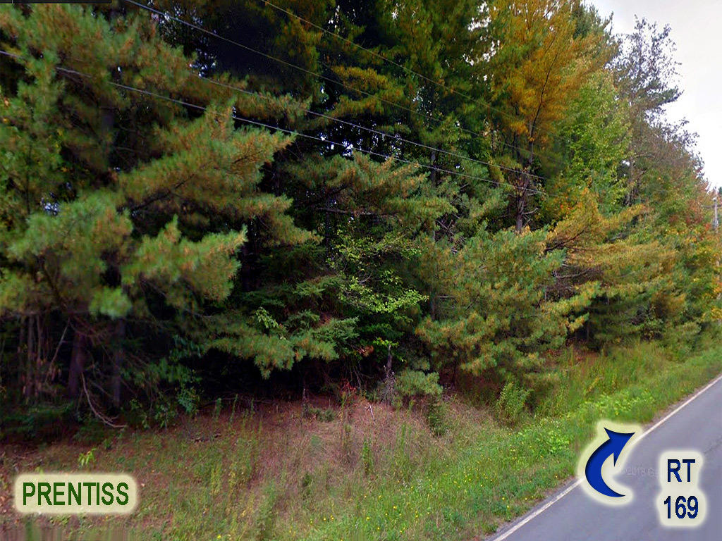 Lot 4-4.1 Rd Prentiss Twp T7 R3 Nbpp Me 04487 Road Springfield, ME 04487 - Photo 3 of 8 draper-prentiss-land