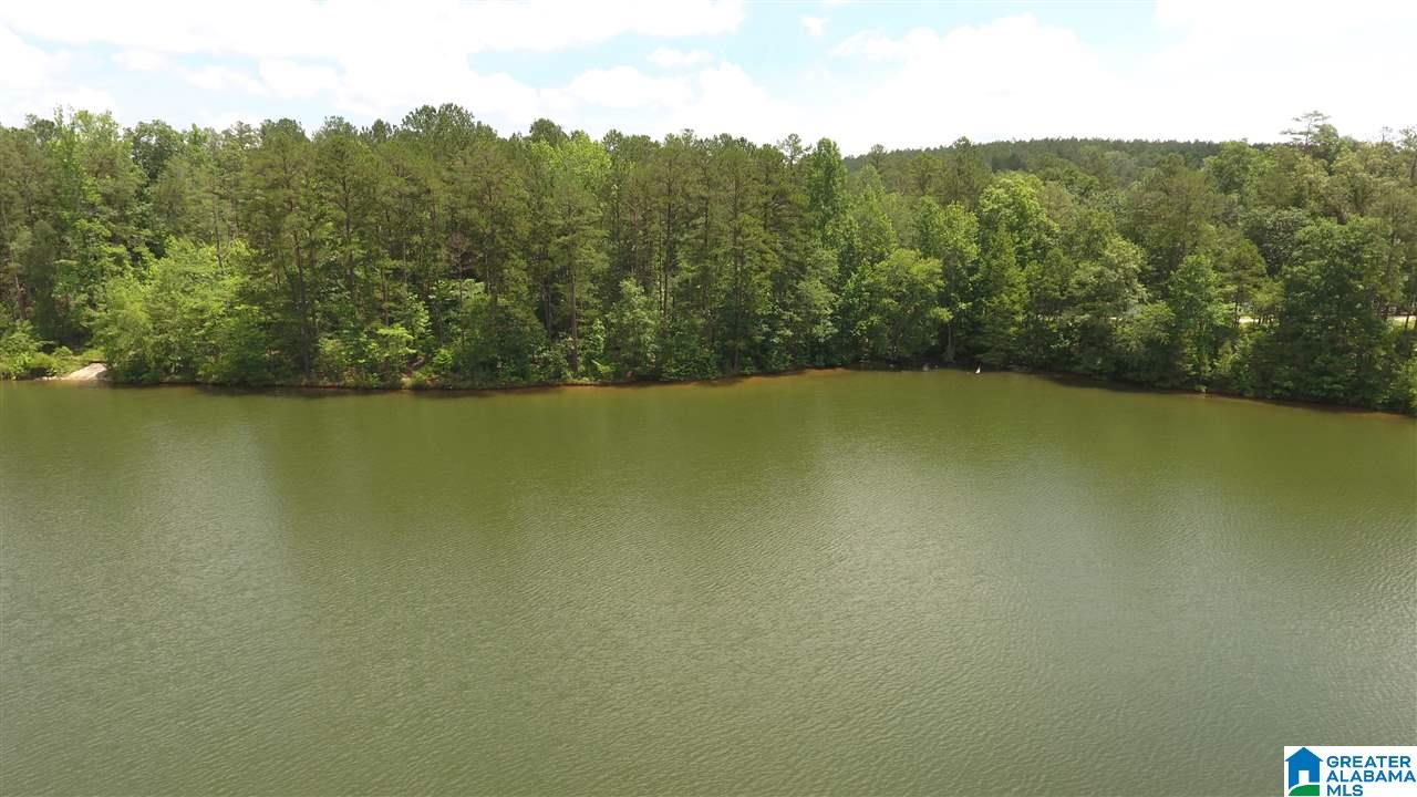 Firefly Lane, Unit 20 Lineville, AL 36266 - Photo 1 of 6