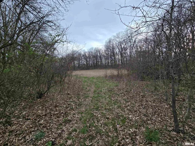 $950,000 | 1489 East 273rd Lane, Clayton, IL 62324