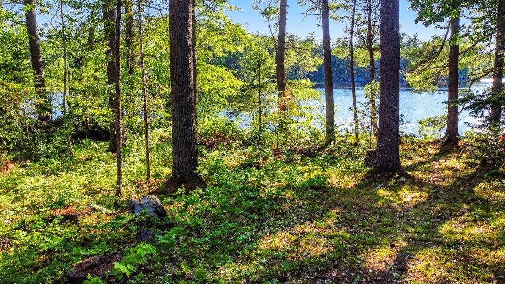 100 Thurston Road Augusta, ME 04330 - Photo 57 of 61 57