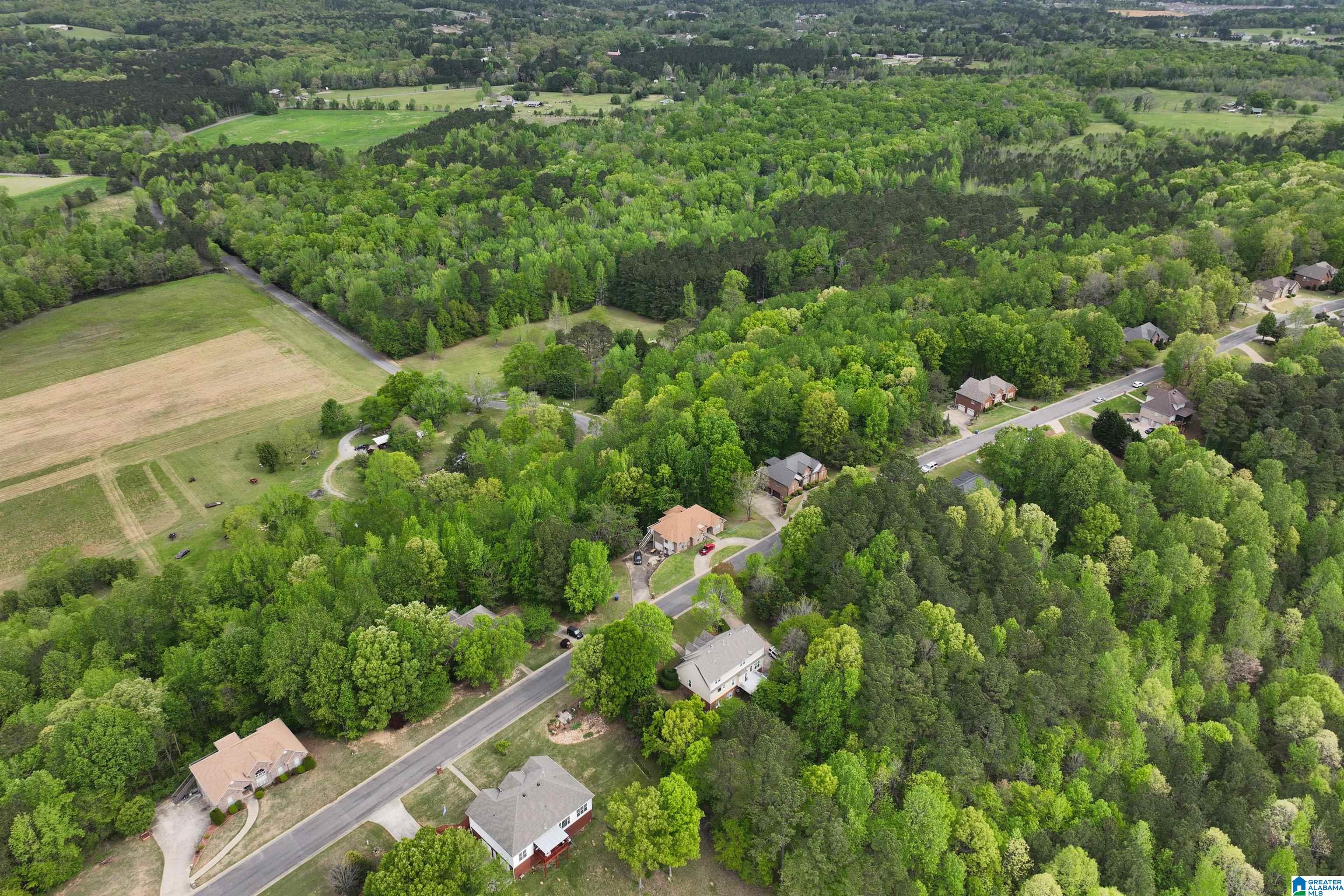 90 Ridgewood Lane Odenville, AL 35120 - Photo 59 of 65