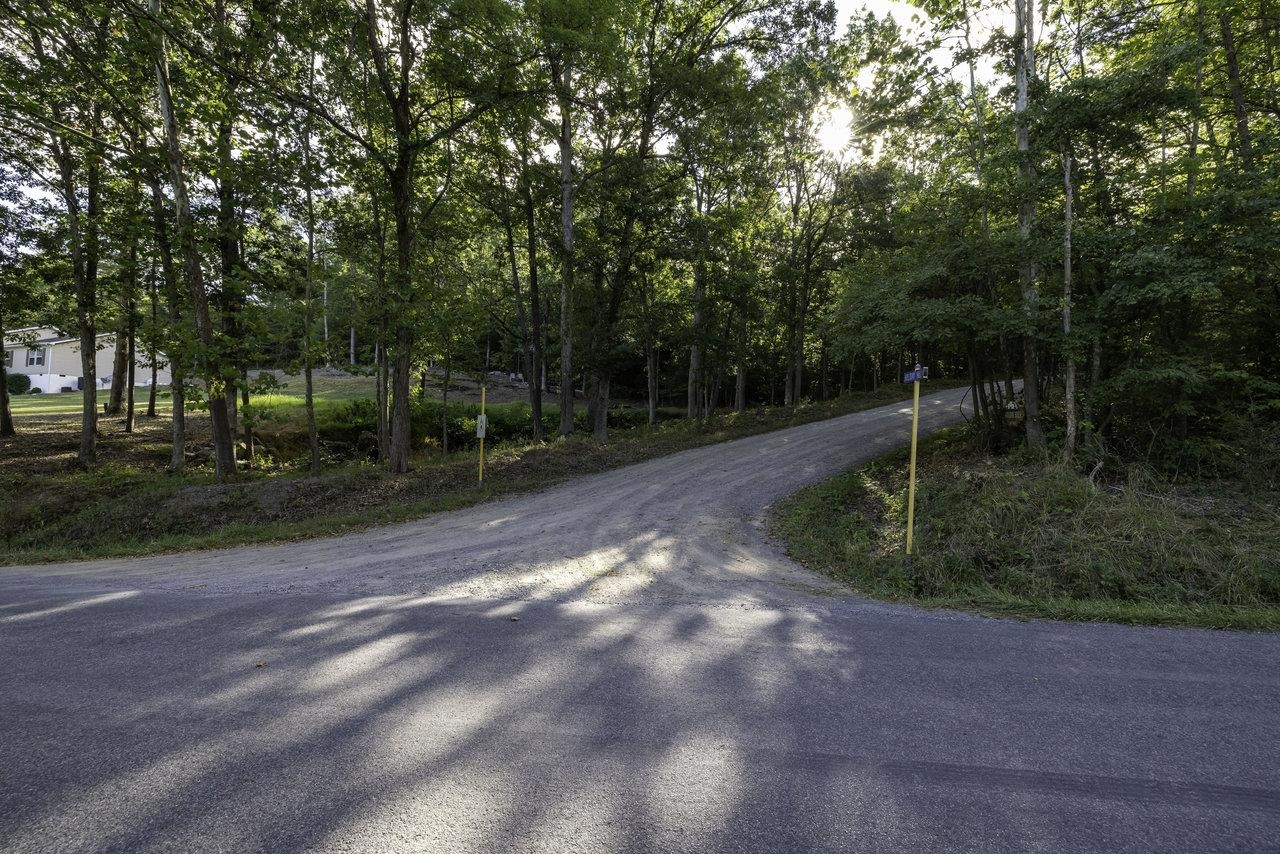 Lot D3 Holiday Hill Road Luray, VA 22835 - Photo 23 of 32