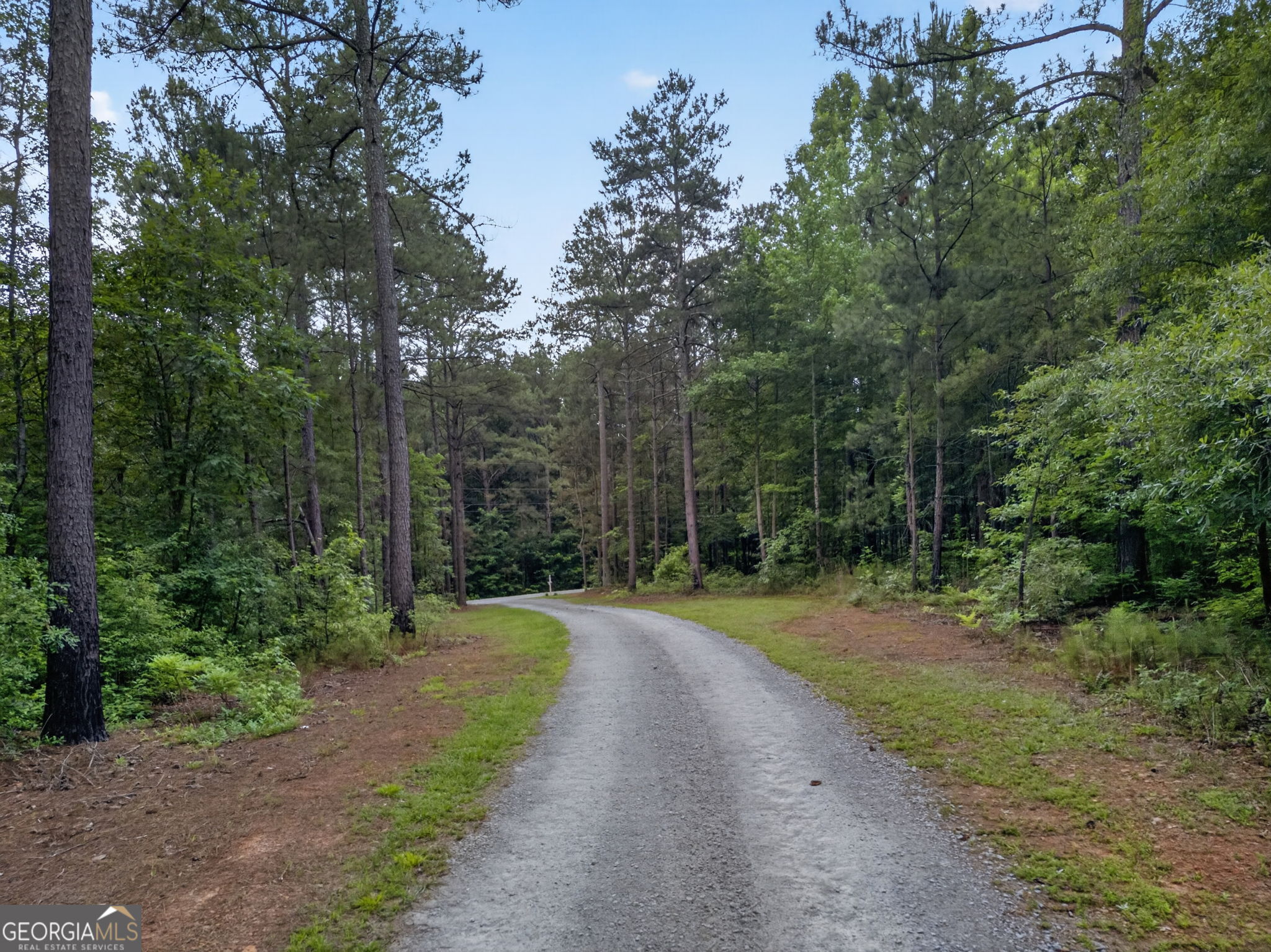 1401 Needmore Road Roopville, GA 30170 - Photo 43 of 49