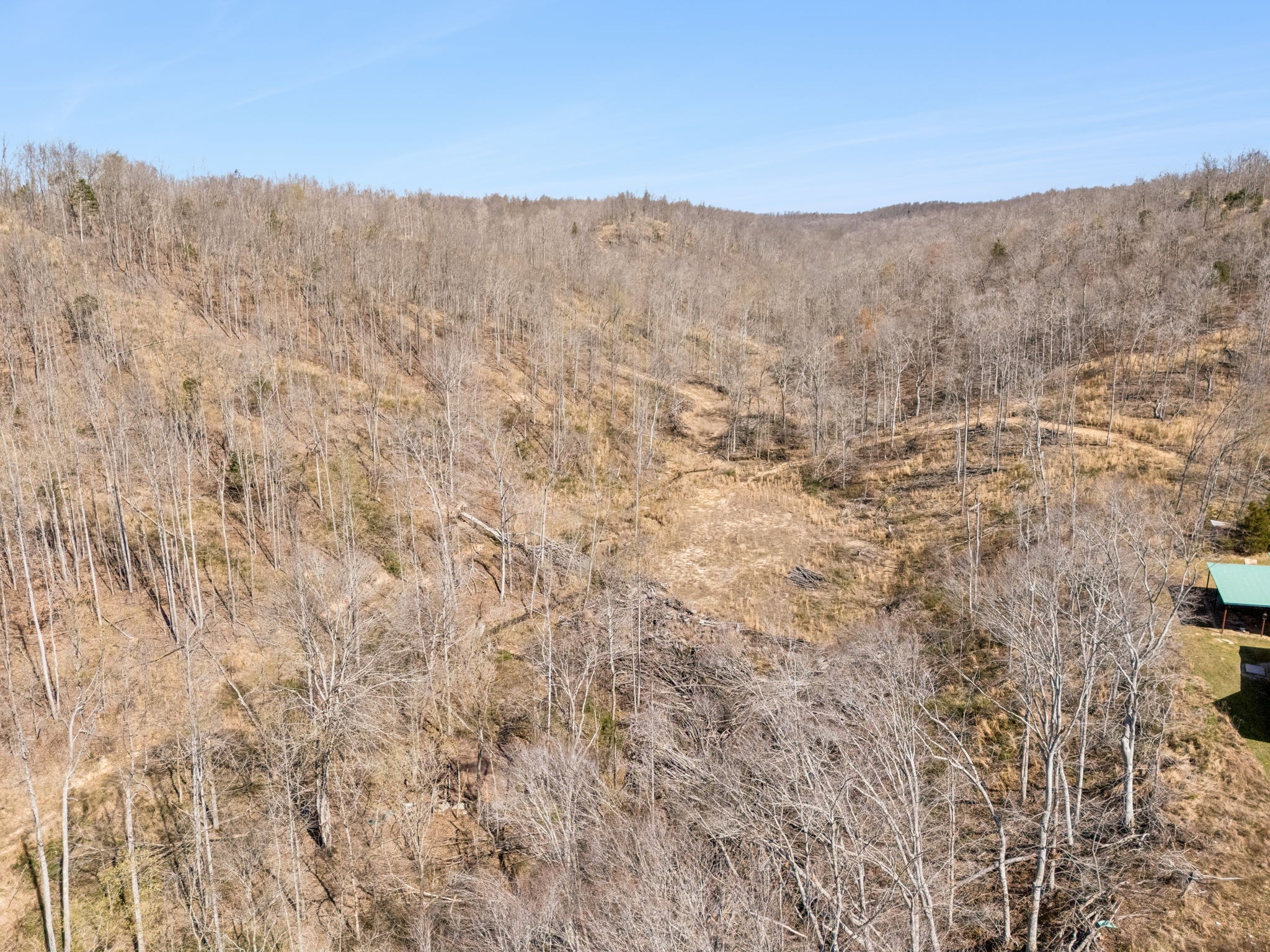 635 Cane Creek Road Hohenwald, TN 38462 - Photo 86 of 99 Gallery Image 86