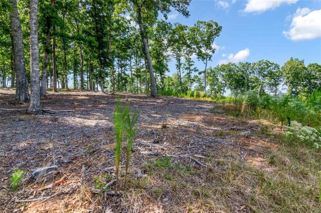 84 Ridge Drive Morganton, GA 30560 - Photo 14 of 32