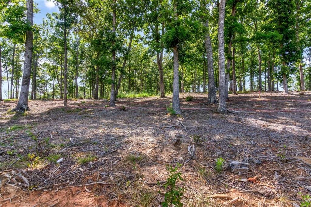 84 Ridge Drive Morganton, GA 30560 - Photo 15 of 32