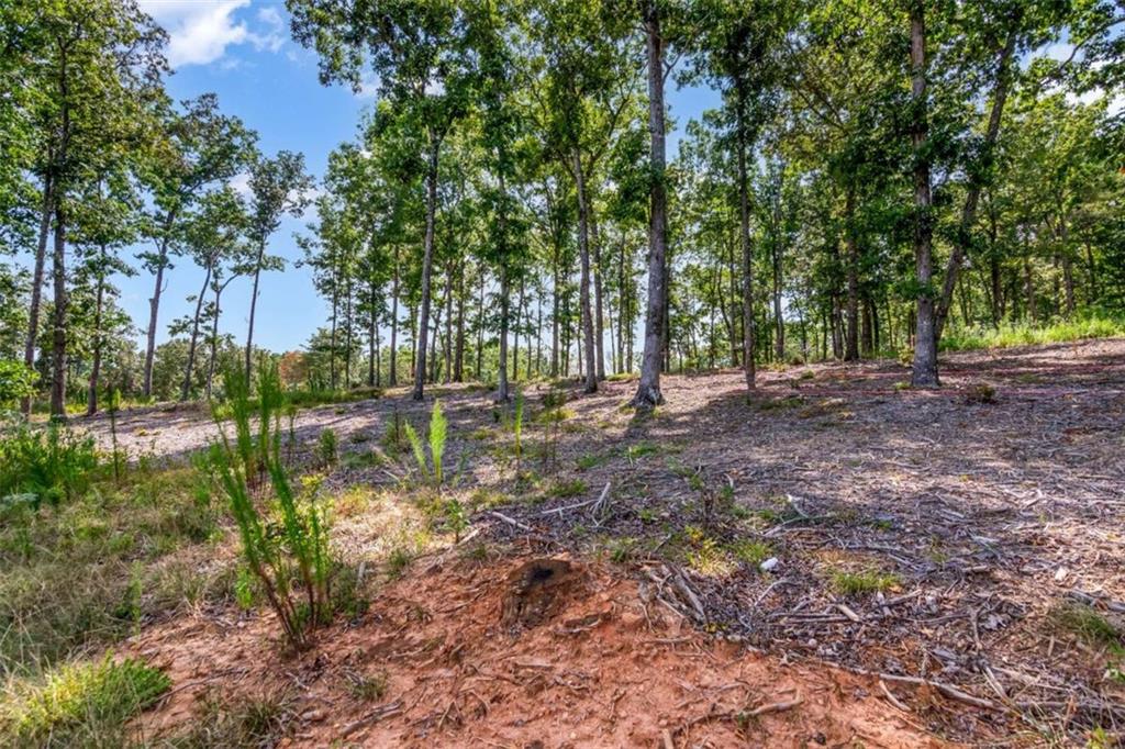 84 Ridge Drive Morganton, GA 30560 - Photo 16 of 32