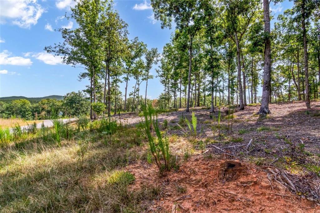 84 Ridge Drive Morganton, GA 30560 - Photo 17 of 32