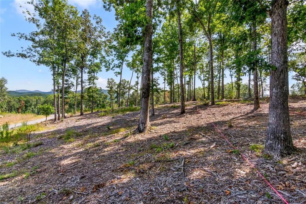 84 Ridge Drive Morganton, GA 30560 - Photo 19 of 32