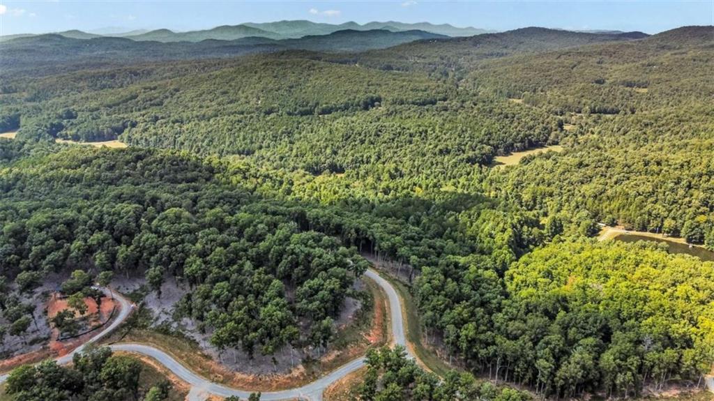 84 Ridge Drive Morganton, GA 30560 - Photo 29 of 32