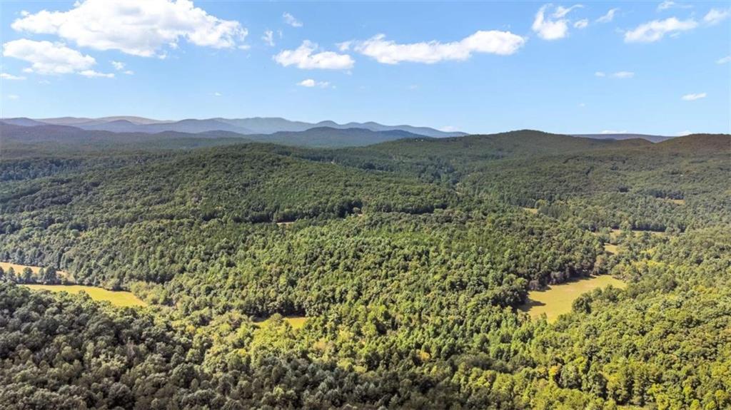 84 Ridge Drive Morganton, GA 30560 - Photo 9 of 32