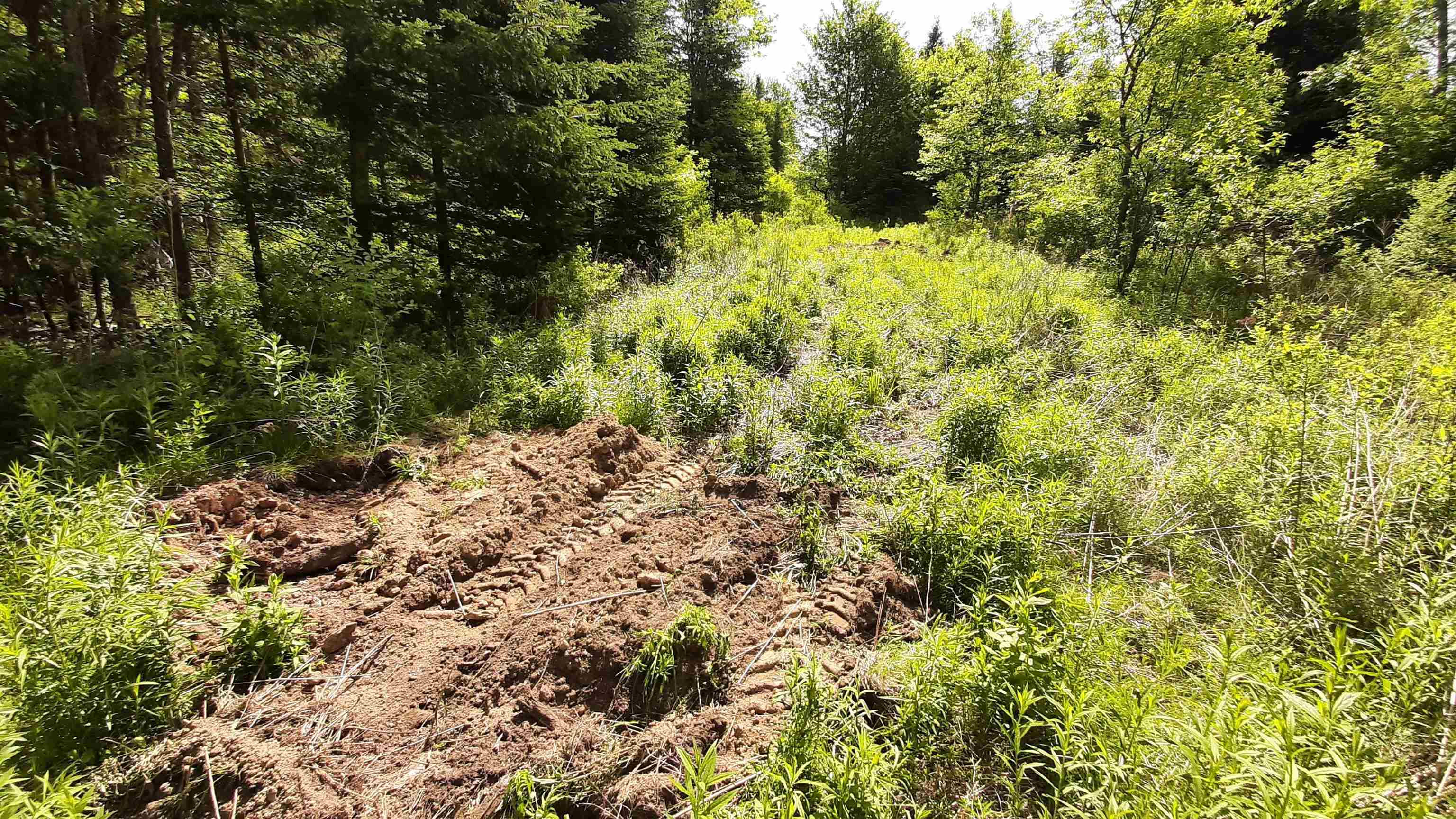 0 Summit Road Mount Holly, VT 05758 - Photo 23 of 37