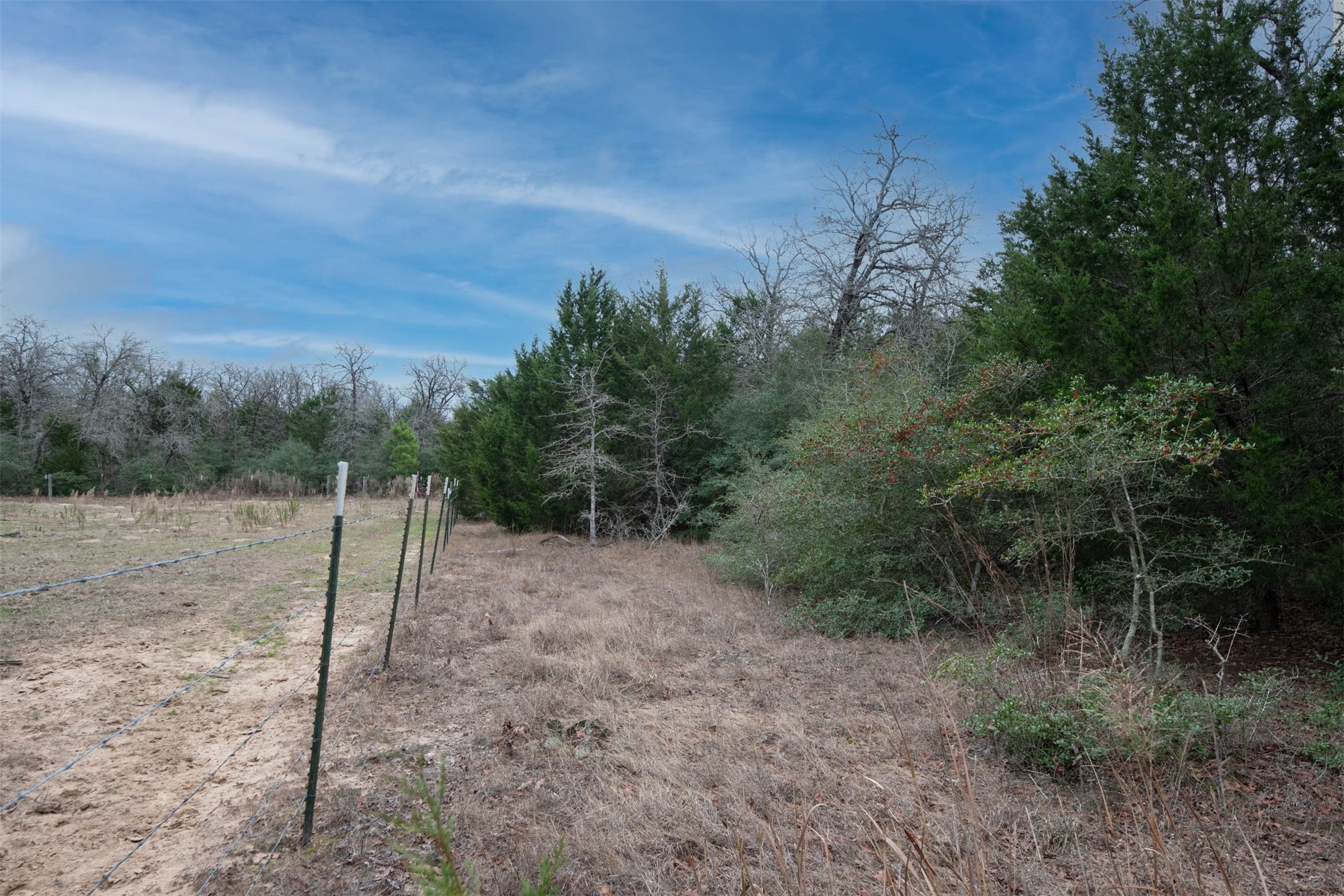 920 Old Potato Road Paige, TX 78659 - Photo 7 of 18