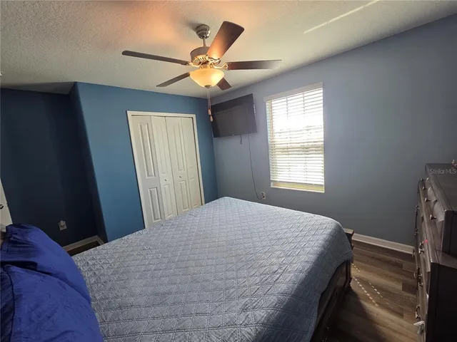 a view of a garden with a bench