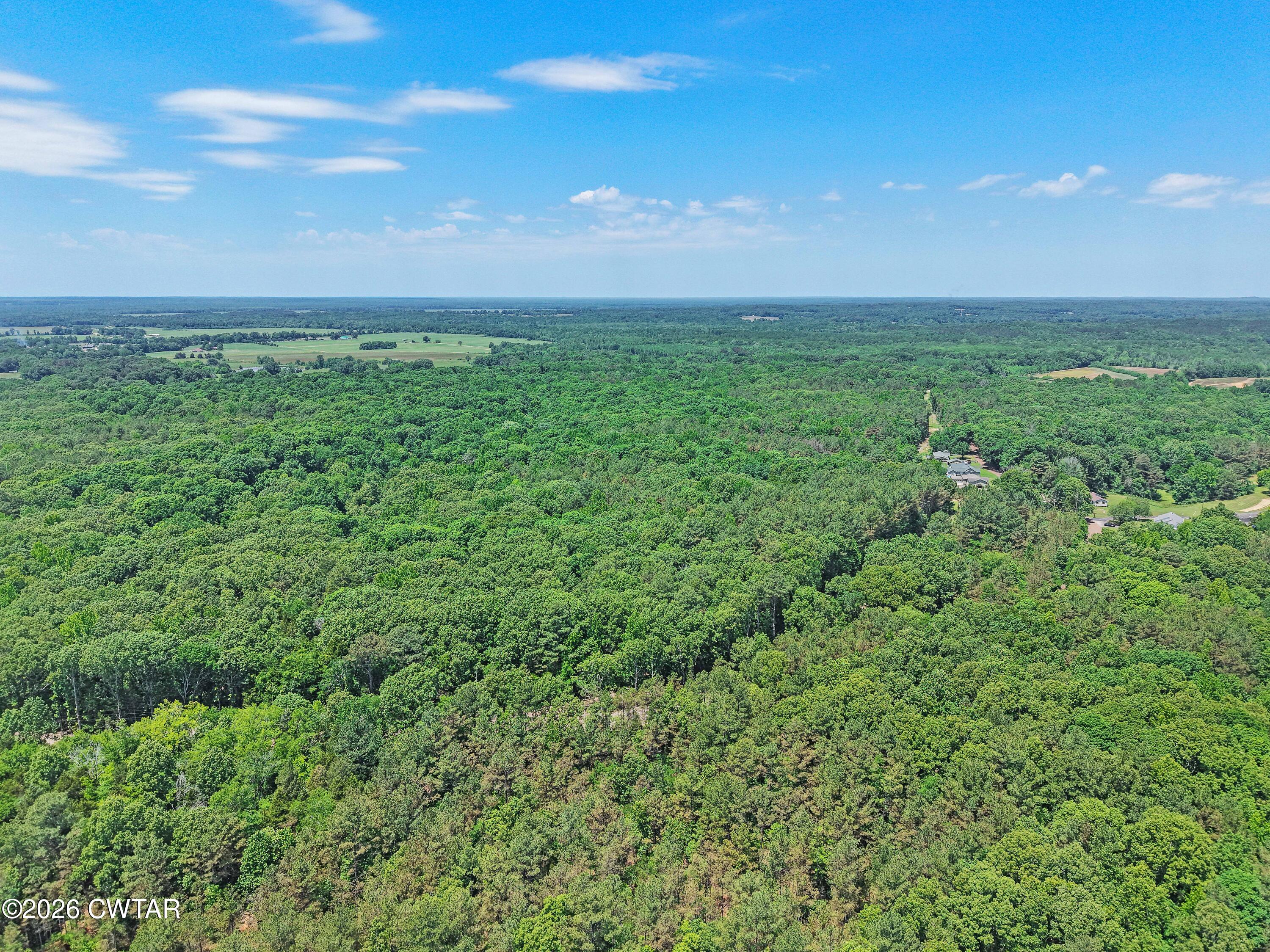 0 Teague Road Toone, TN 38381 - Photo 14 of 25 DJI_20260513125642_0178_D