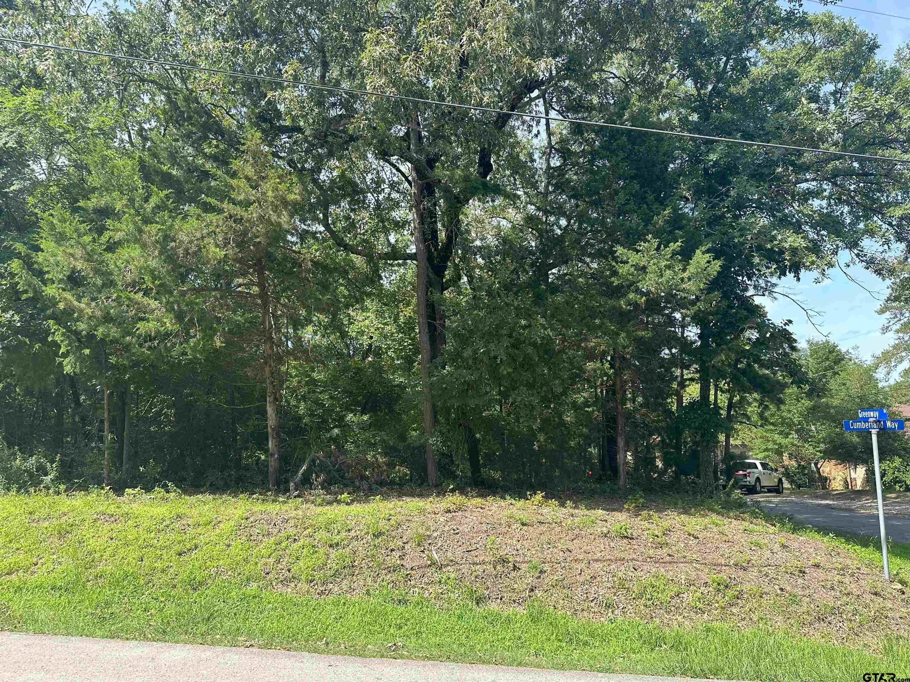 Tbd Cumberland Way Bullard, TX 75757 - Photo 1 of 11