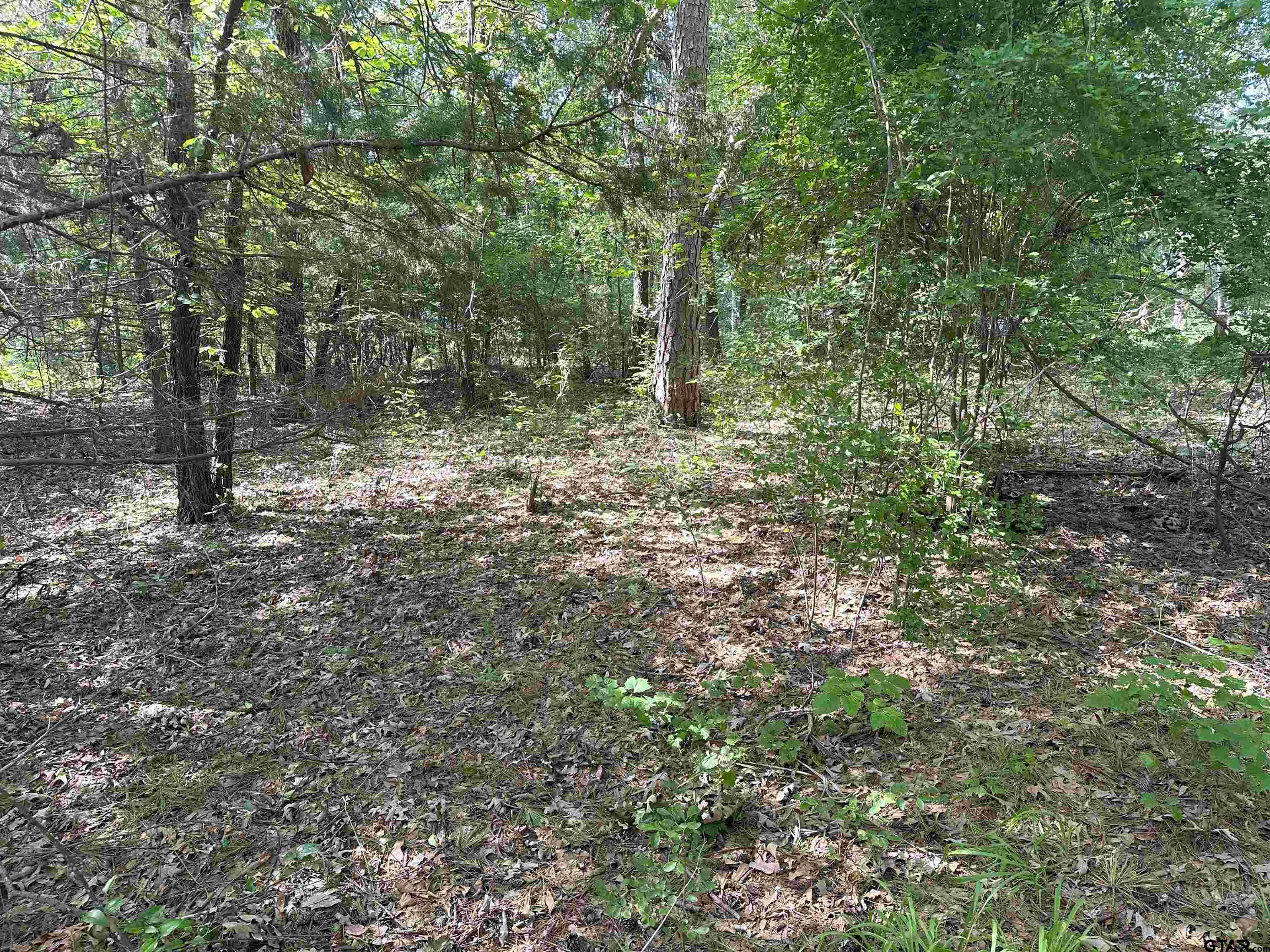 Tbd Cumberland Way Bullard, TX 75757 - Photo 11 of 11