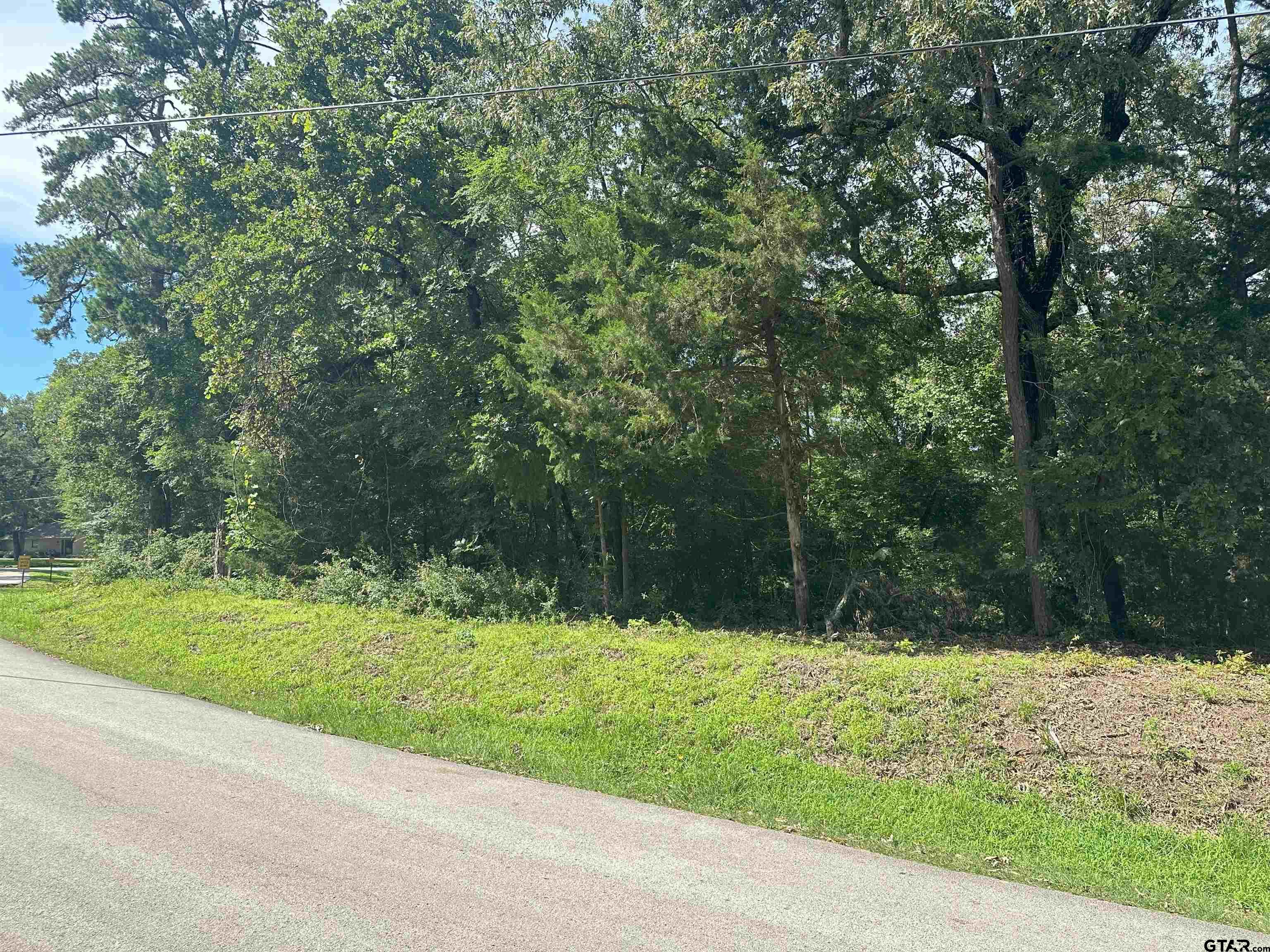 Tbd Cumberland Way Bullard, TX 75757 - Photo 2 of 11