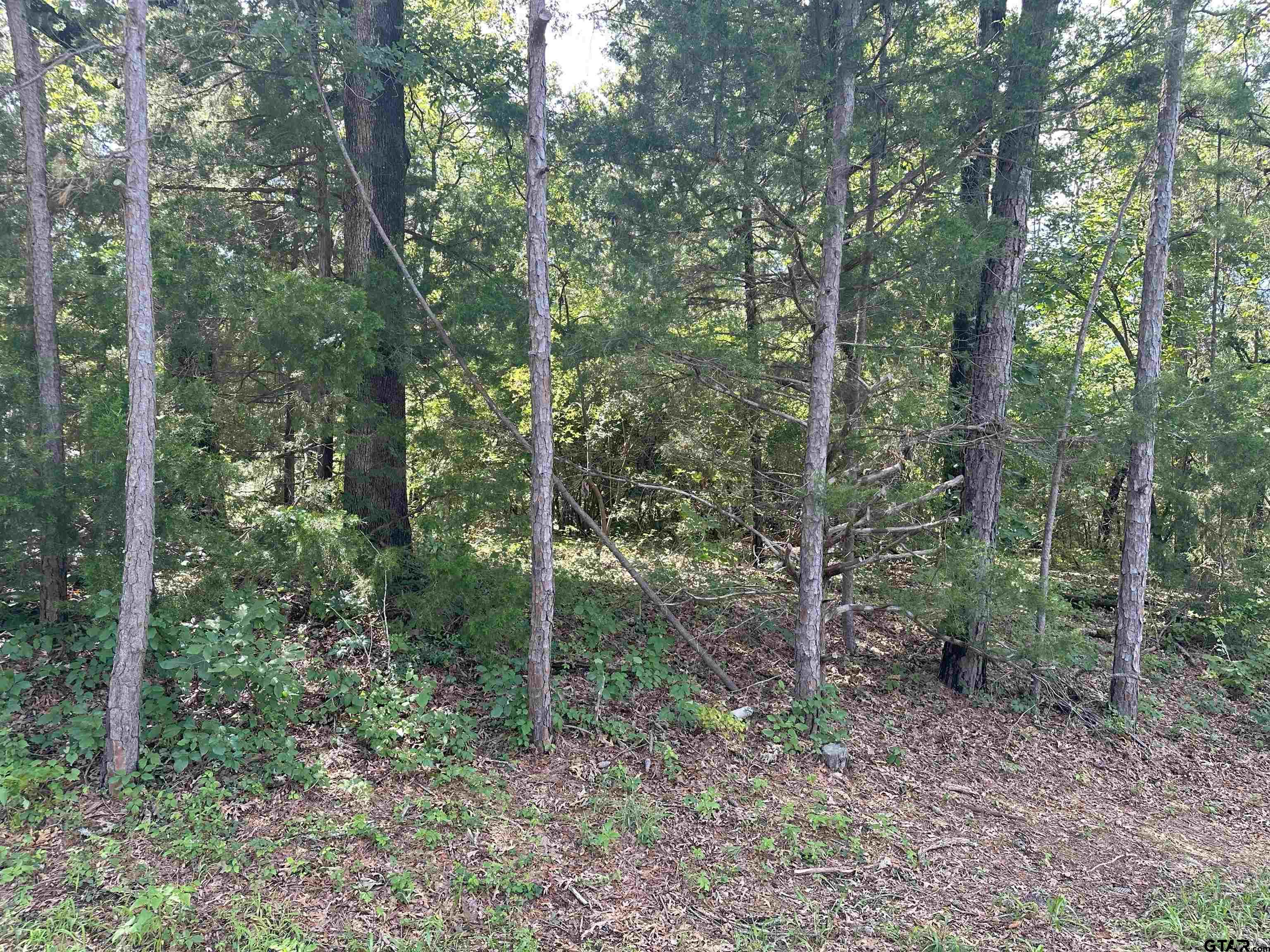 Tbd Cumberland Way Bullard, TX 75757 - Photo 3 of 11