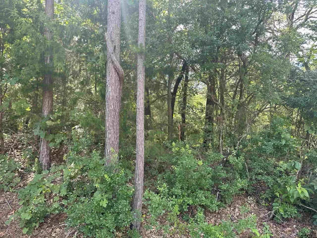 $58,900 | Tbd Cumberland Way, Bullard, TX 75757