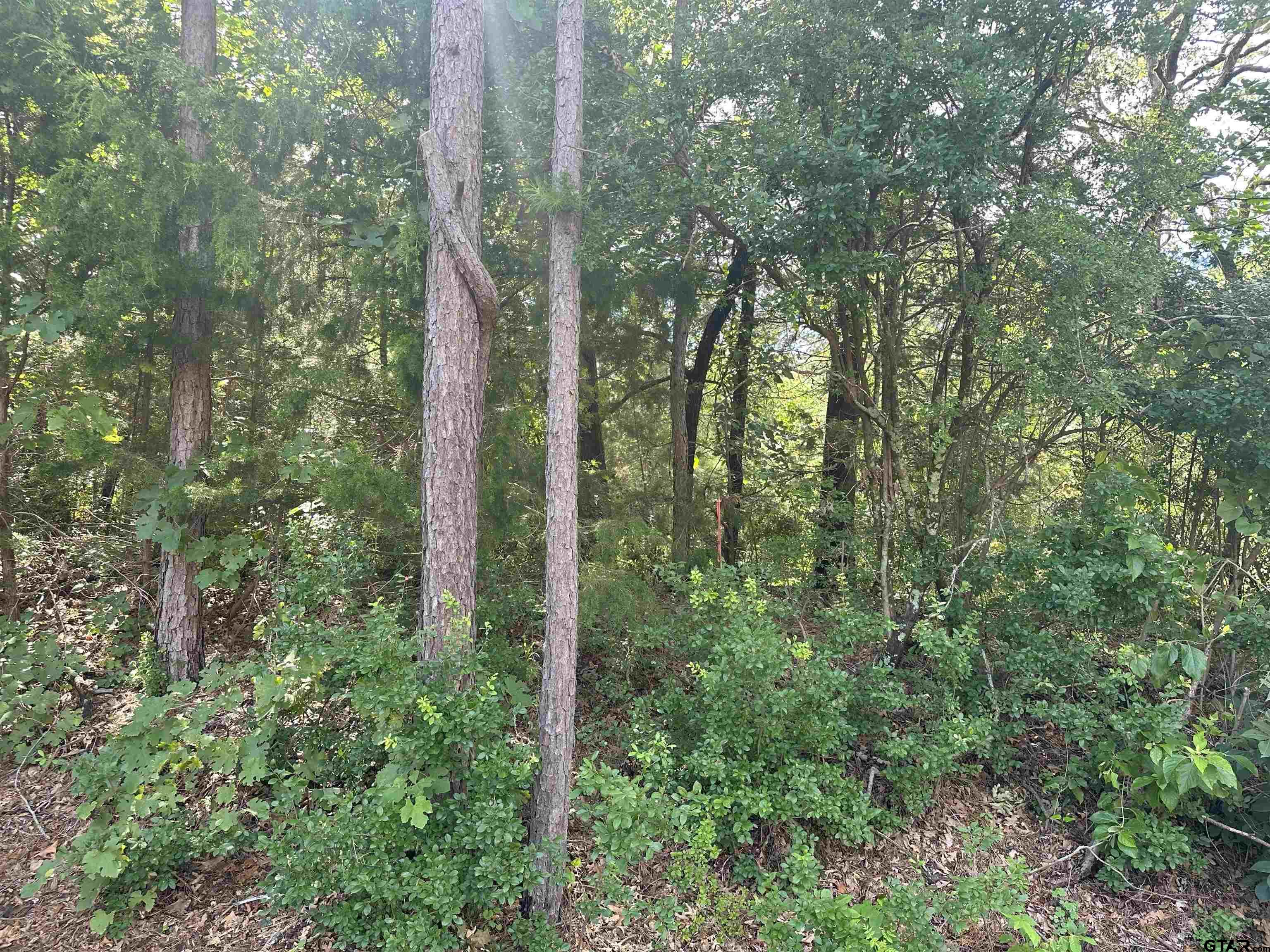 Tbd Cumberland Way Bullard, TX 75757 - Photo 4 of 11