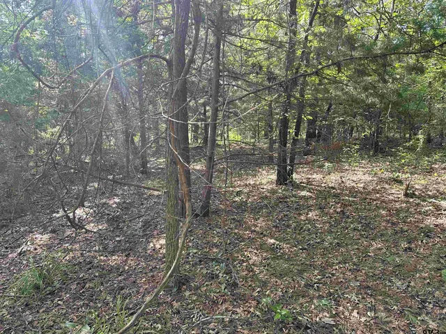 $58,900 | Tbd Cumberland Way, Bullard, TX 75757