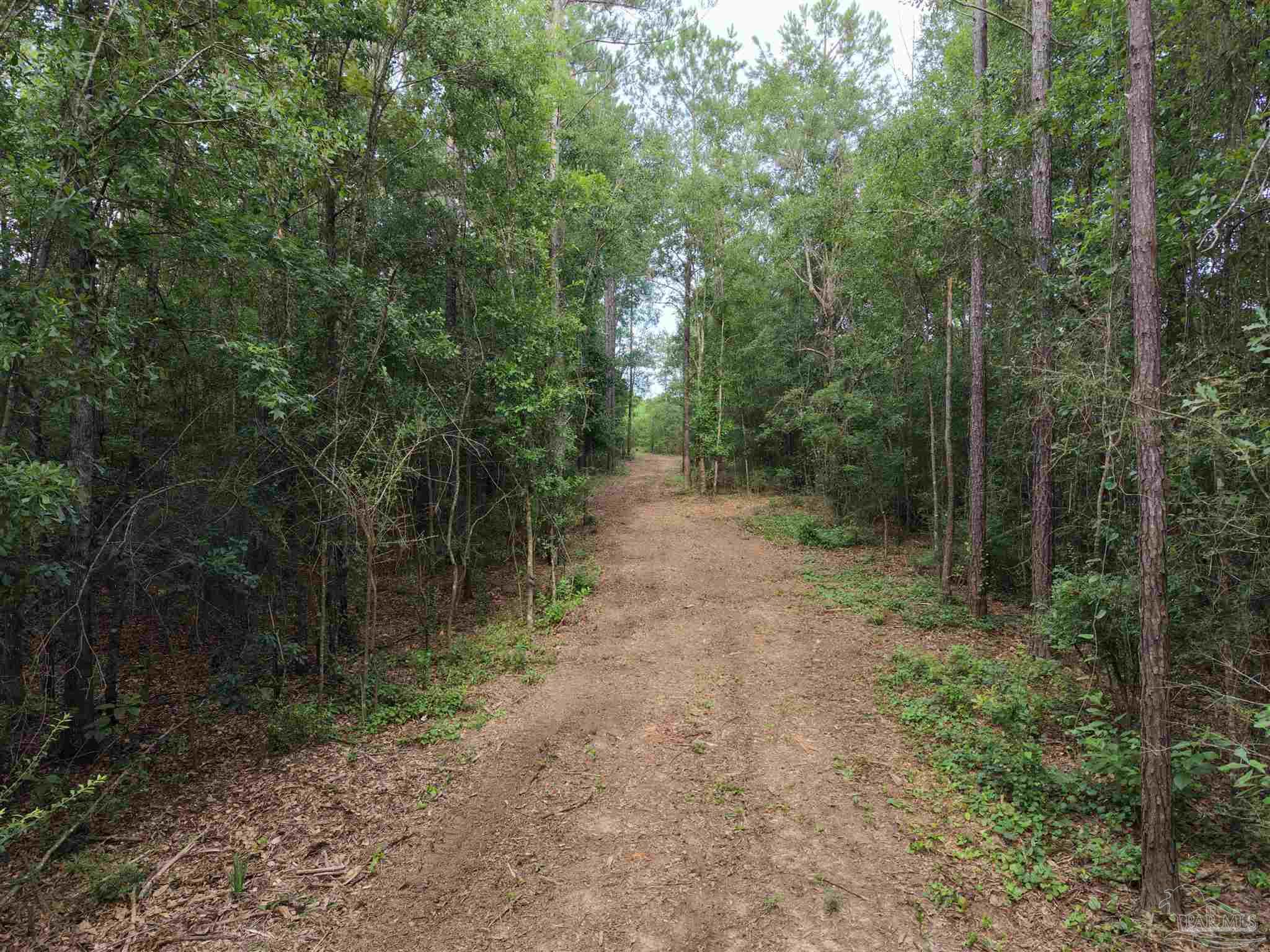 0 Watson Road Jay, FL 32565 - Photo 4 of 9 Gallery Image 4