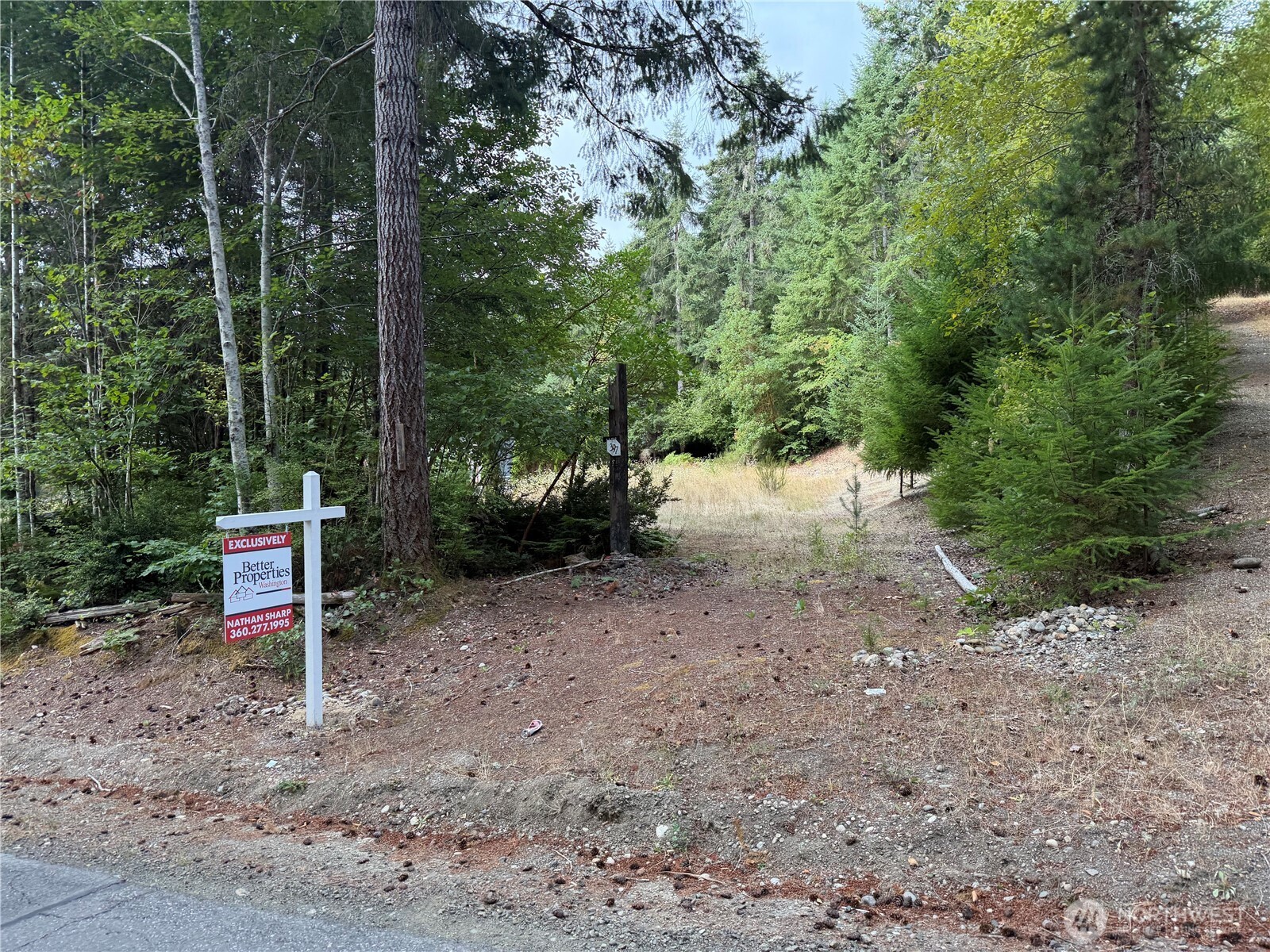 397 Northeast Larson Lake Road Belfair, WA 98528 - Photo 1 of 7 Gallery Image 1