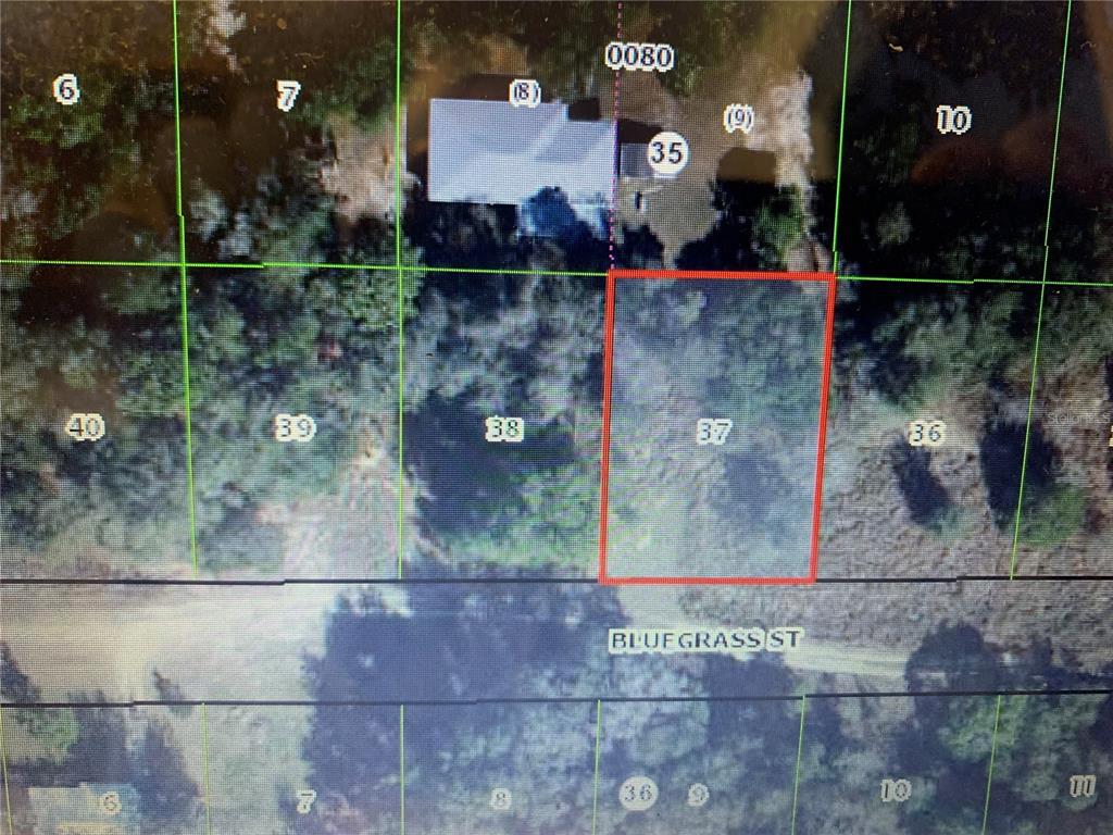 2408 Bluegrass Street Inverness, FL 34453 - Photo 2 of 4