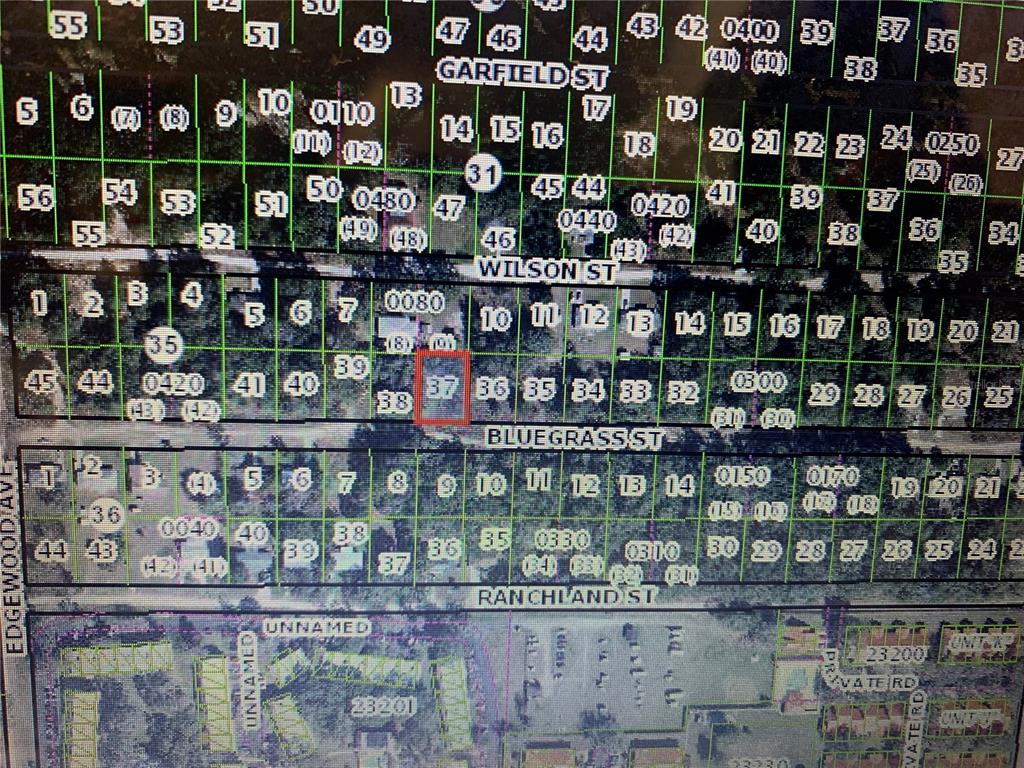 2408 Bluegrass Street Inverness, FL 34453 - Photo 4 of 4