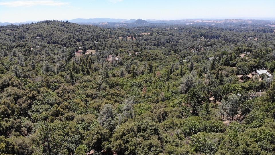0 Bowman Road Pine Grove, CA 95665 - Photo 22 of 30