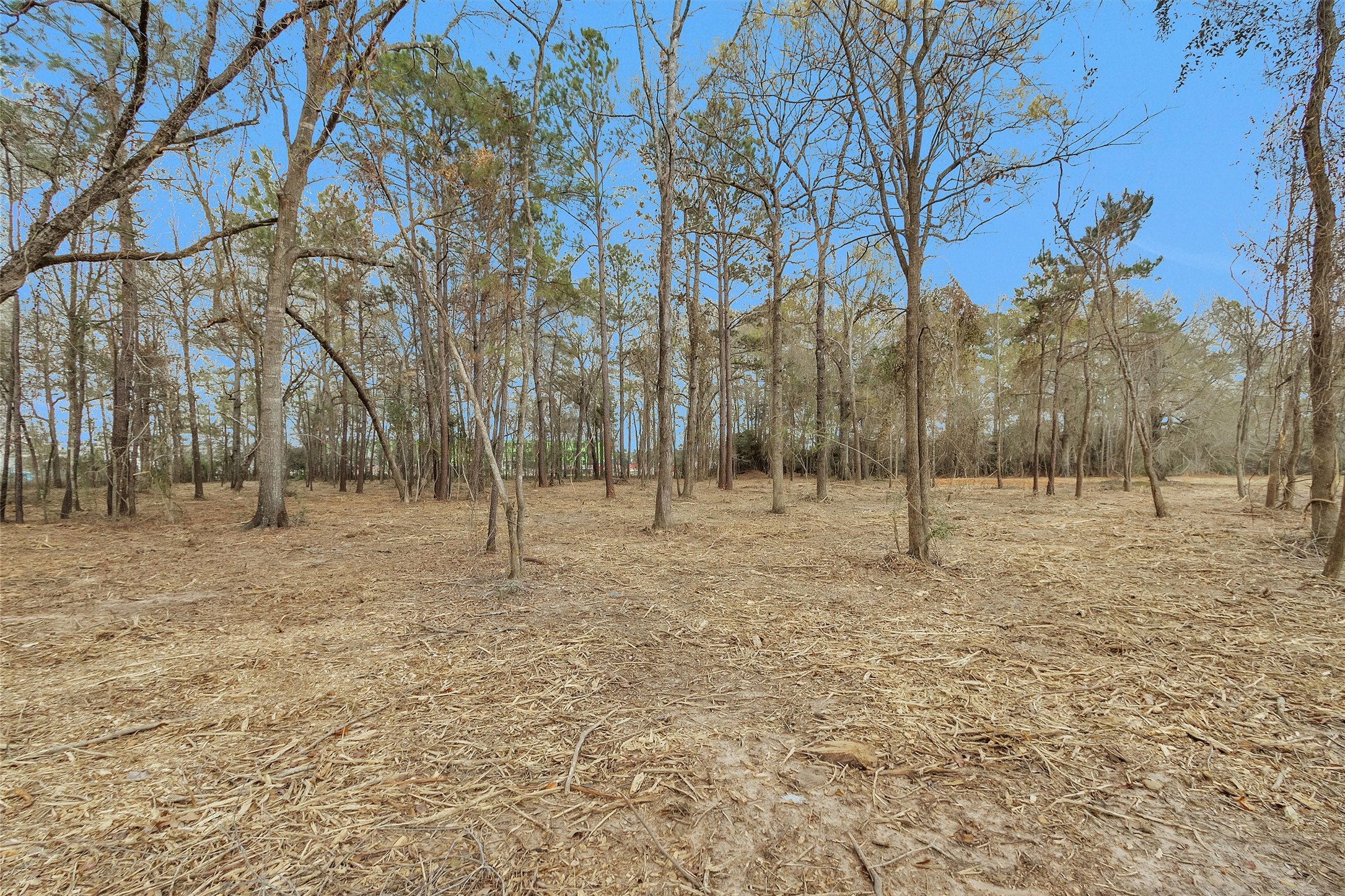 2921 Beasley Road Conroe, TX 77301 - Photo 11 of 18 a view of empty space with trees