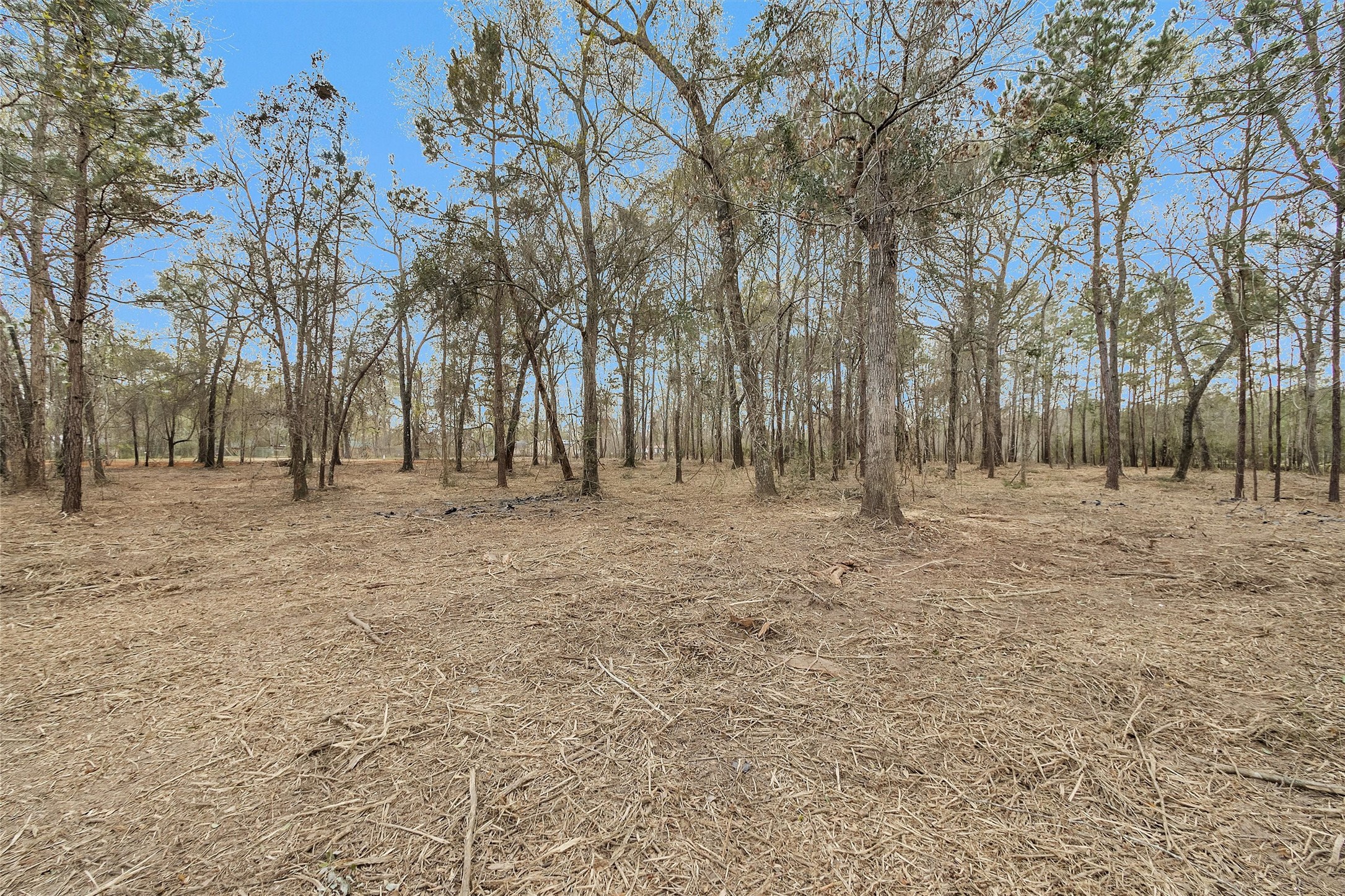 2921 Beasley Road Conroe, TX 77301 - Photo 13 of 18 a view of outdoor space with trees