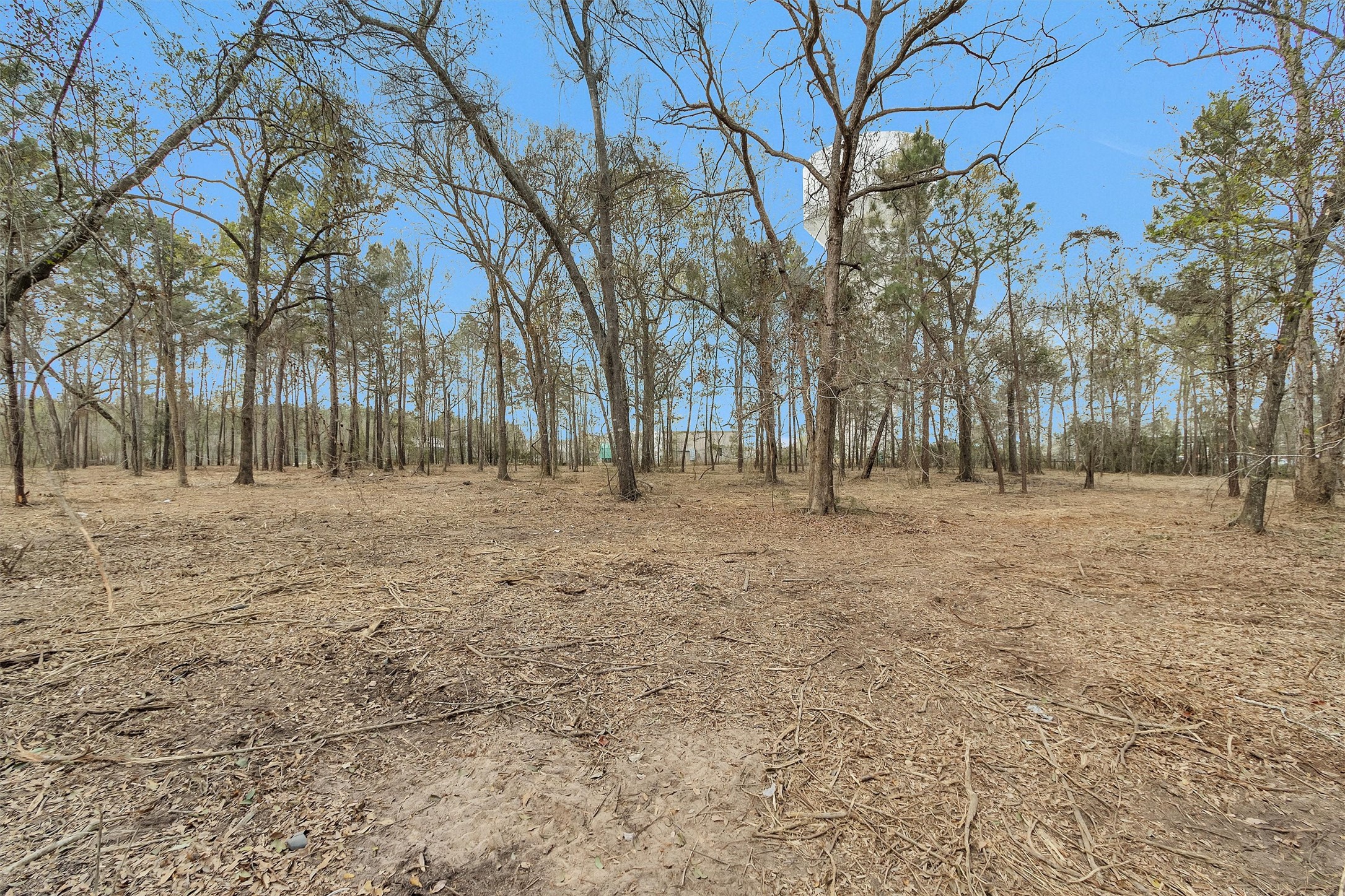 2921 Beasley Road Conroe, TX 77301 - Photo 14 of 18 a view of outdoor space with trees