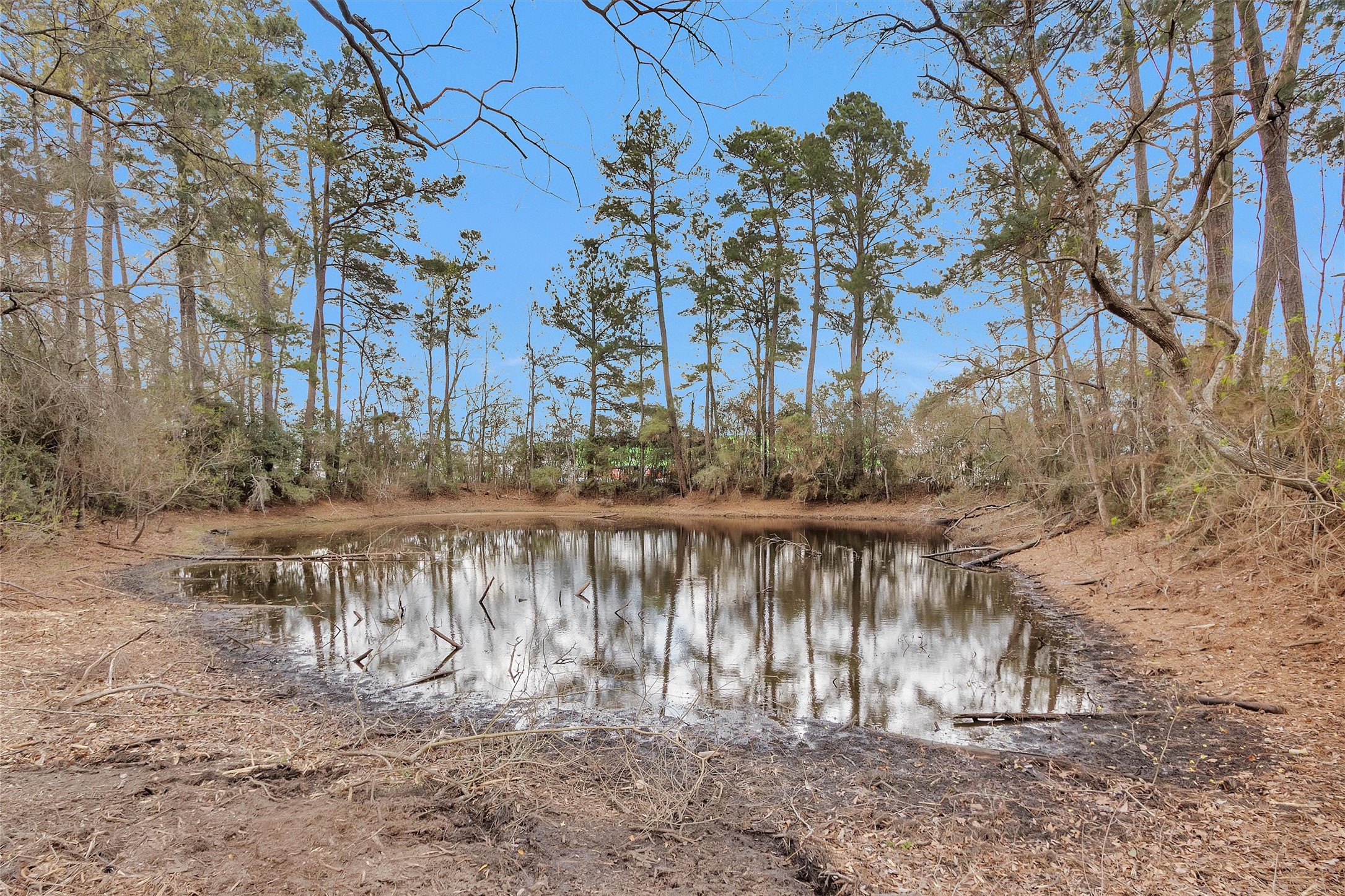 2921 Beasley Road Conroe, TX 77301 - Photo 15 of 18 a view of a lake with houses covered with snow