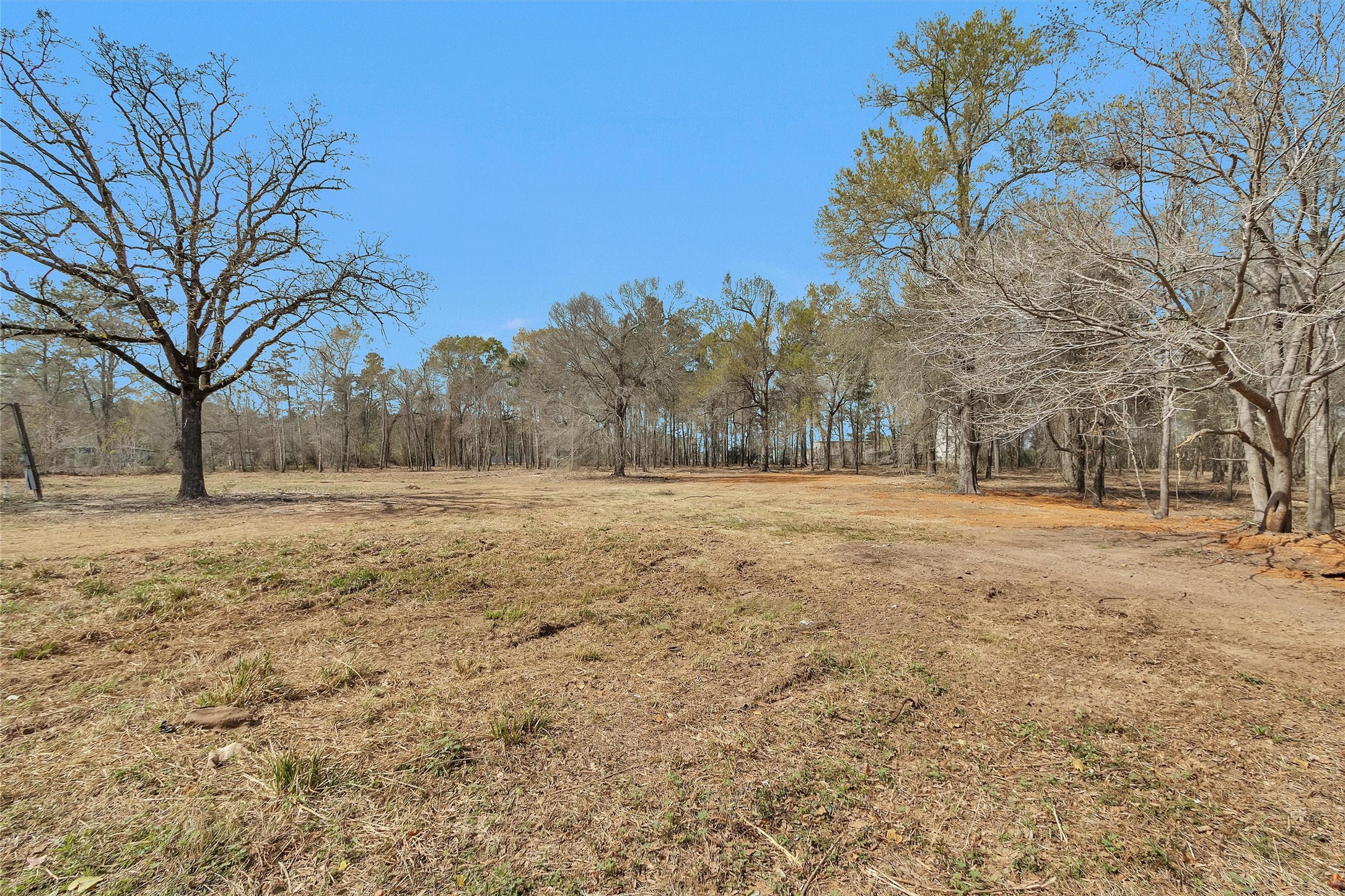 2921 Beasley Road Conroe, TX 77301 - Photo 16 of 18 a view of yard covered with snow in outdoor