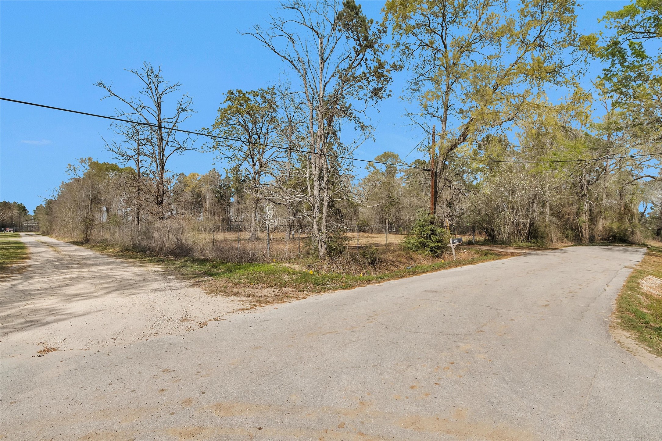 2921 Beasley Road Conroe, TX 77301 - Photo 7 of 18 a view of road and with trees