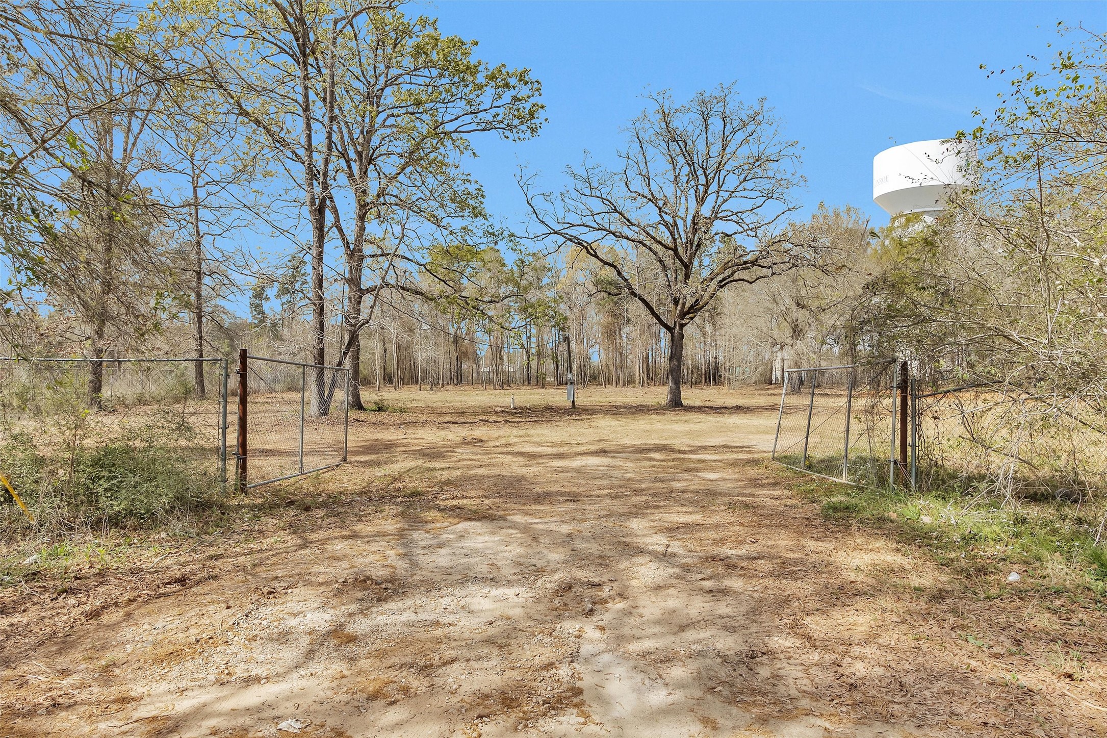 2921 Beasley Road Conroe, TX 77301 - Photo 8 of 18 a view of outdoor space with trees