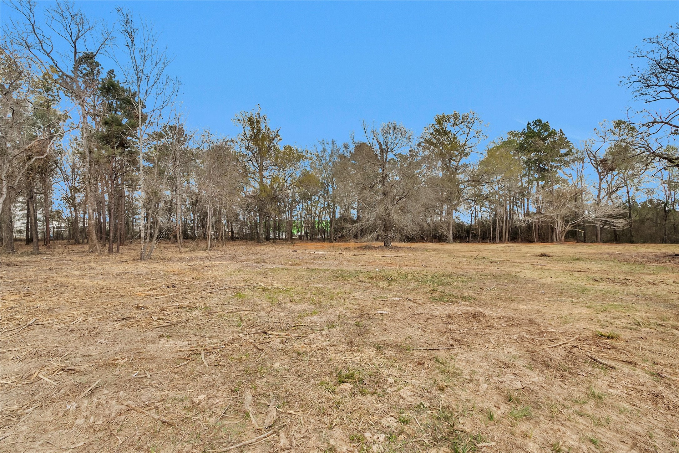 2921 Beasley Road Conroe, TX 77301 - Photo 9 of 18 a view of yard covered with snow