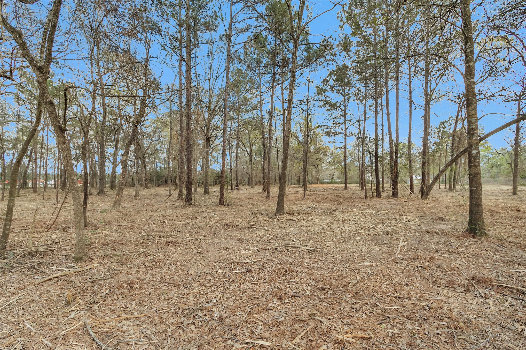 2921 Beasley Road Conroe, TX 77301 - Photo 10 of 18 a view of outdoor space with trees